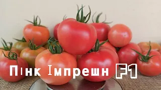 🍅Пінк Імпрешн F1 - коли все вирішує смак!