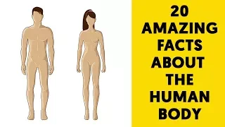 20 Amazing Facts about the Human Body you probably didn't know