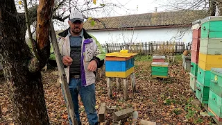 Не хочу займатись бджільництвом( Бджільництво в Україні