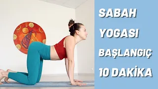 BAŞLANGIÇ SEVİYE ♥︎  10 DK ♥︎  SABAH YOGASI ♥︎  21 GÜN UYGULA