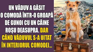 Un văduv a găsit o comodă într-o groapă de gunoi cu un câine roșu deasupra. Dar când văduvul...