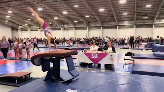 2023 States Championship Vault 9.325