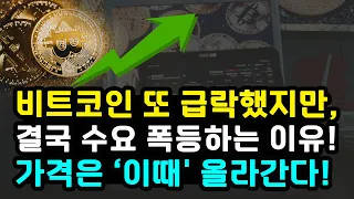 비트코인 반감기 지나고 조정 받은 이유 "베이비부머 자금과 홍콩 ETF 수요 결국 급증한다" 아서 헤이즈 비트코인 100만 달러 / 이더리움 리플 솔라나