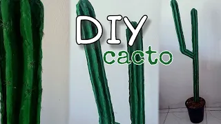 Diy cacto grande