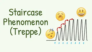 How the Muscles SLOWLY WAKE UP from "Sleep" || Staircase Phenomenon or Treppe in Muscle Contraction