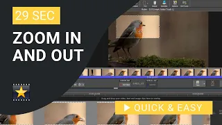 VideoPad Tutorial: How to Zoom in In VideoPad