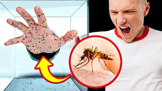 Co by się stało, gdyby ukąsiło cię 1000 komarów