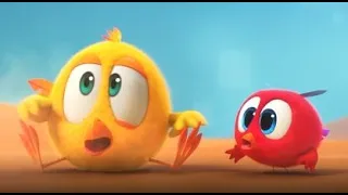 Where's Chicky? Funny Chicky 2023 | THE DESERT | Cartoon in English for Kids | New episodes
