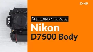 Распаковка зеркальной камеры Nikon D7500 Body / Unboxing Nikon D7500 Body