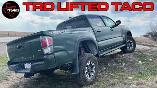 Better Than A TRD PRO? // LIFTED Toyota Tacoma TRD Off Road - Full Review
