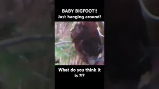 He found a Baby Bigfoot, hanging from a tree