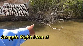 How to catch Crappie in Spring Tips Locations & lures