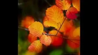 Autumn from Alexander Glazunov's The Seasons