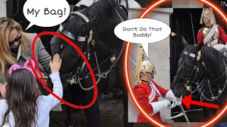 Super NIPPY Horse This This! Tourists and King's Guard React!