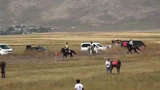 ARDAHAN DOĞU ANADOLU ŞANPİYONASI Rahvan at yarşları 10