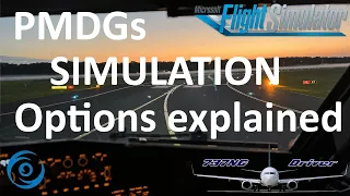 PMDG SIMULATION Options explained | Real 737 Pilot