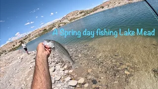 A Spring day fishing Lake Mead from shore