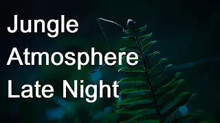 Late Night Jungle Atmosphere. BLACK SCREEN. Relaxing Nature Sounds for Sleep and Rest.