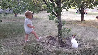Двойняшки играют с зайчиком. Белый зайчик любимец детей. Дети и животные