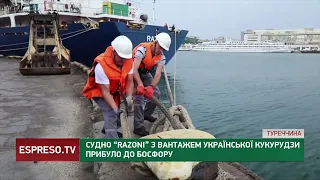 Судно з українською кукурудзою прибуло до Босфору