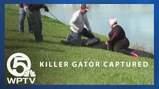 Woman, 85, killed by alligator while walking dog