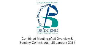 Combined Meeting of all Overview & Scrutiny Committees - 20 January 2021