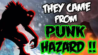 The Experiments From Punk Hazard! - One Piece Discussion | Tekking101
