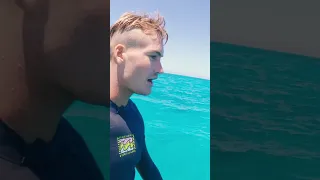 Giant Tiger Shark Encounter!!