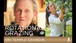 Rotational Grazing on the Homestead w/ Dr. Temple Grandin // Axe & Root Homestead Expert Series