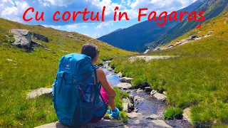 O noapte la cort in Fagaras:  Lacul Caltun - Varful Negoiu