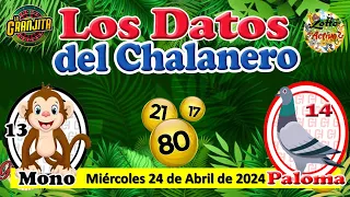 GANA HOY CON ESTE TRIPLE y EL SOLO SOLITO SOLO * EL CHALANERO * MIÉRCOLES 24 DE ABRIL DE 2024