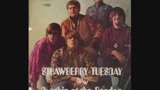 Sidewalk Skipper Band - Strawberry Tuesday