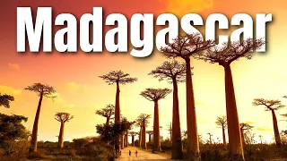 Amazing places to visit in Madagascar| Top 10 places to visit in Madagascar| Travel Video