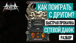 СЕТЕВАЯ ИГРА В ANIMA ARPG! Как качнуть друга? Как быстро поднять лвл?! + и - данжа.