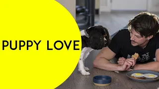 Puppy Love - (Grant Gustin, Lucy Hale) OFFICIAL TRAILER (2023)