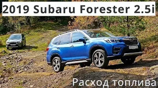 2019 Subaru Forester 2.5i, расход топлива - КлаксонТВ