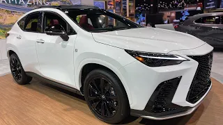 All-New 2022 Lexus NX 350 Walkaround