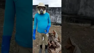 Mais Uma Explicação Sobre Cabelos e unhas