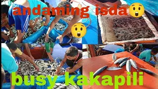 GANITO KADALASANG GINAGAWA NAMIN,PINAGHIHIWALAY ANG MAGKAIBANG ISDA...@Pitikniclinton