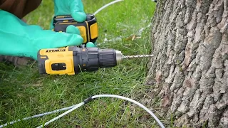 Proper Drill Technique for Tree Injection