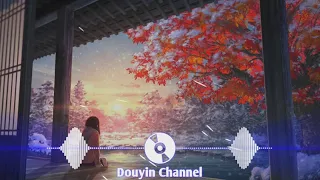 IF remix - Từ Vi | Bản nhạc buồn tâm trạng tik tok 0:34 || Douyin channel