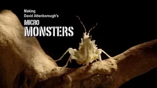 DOCUMENTAL Micro monstruos  CAP 3 (La familia)