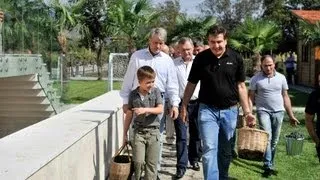 Grape Harvesting in Kvareli