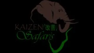 KAIZEN SAFARIS