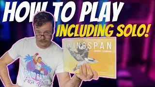 How to Play Wingspan Oceania | Solo and all Variants