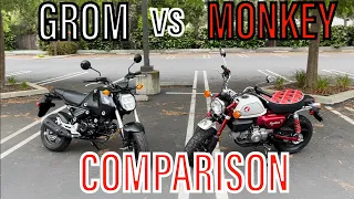 GROM vs MONKEY: COMPARISON