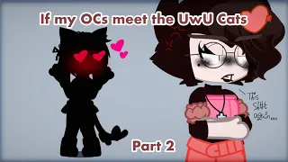 My OCS Meet the UwU Cats (2/2) | GC | ⚠️TW⚠️