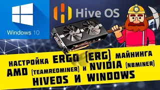 Настройка Ergo (ERG) для карт AMD (teamredminer) и Nvidia (nbminer) в HiveOS и Windows