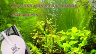 Пьезокомпрессор SunSun с AliExpress.