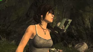 R9 290 PowerColor pcs+ 4GB UHD 4k TombRaider Benchmark